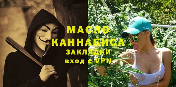индика Горняк
