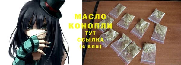 индика Горняк