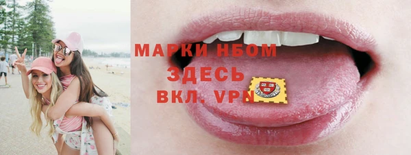 индика Горняк