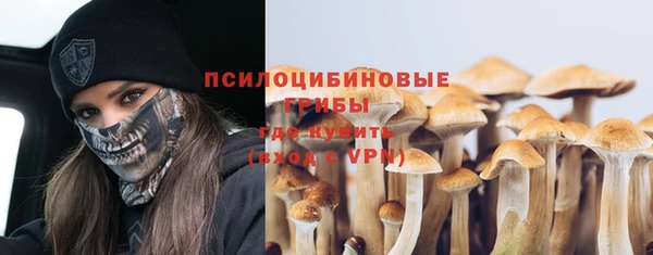 гидра Горно-Алтайск