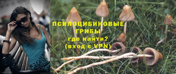 индика Горняк