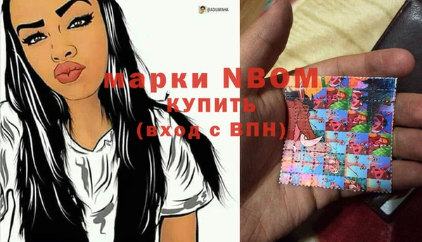 гашик Горнозаводск