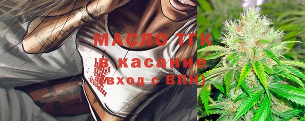 гидра Горно-Алтайск