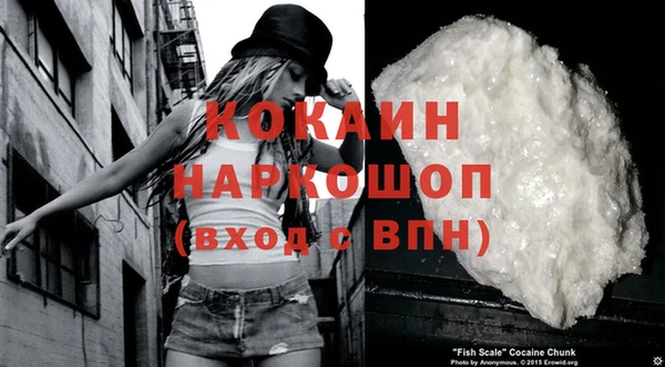 индика Горняк