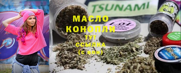 гидра Горно-Алтайск