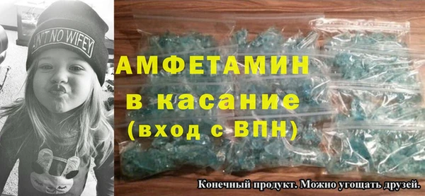 индика Горняк
