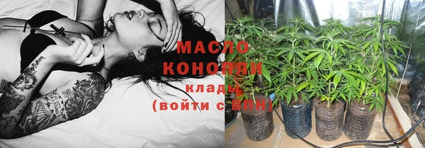 индика Горняк