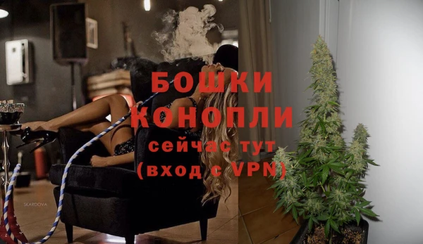 индика Горняк