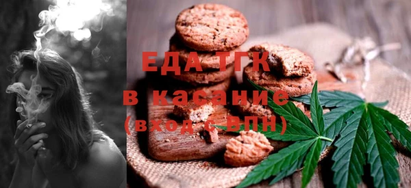 индика Горняк