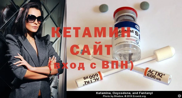 индика Горняк