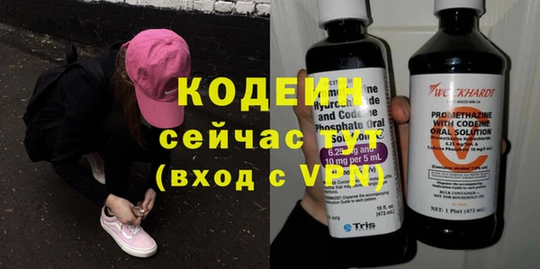 индика Горняк
