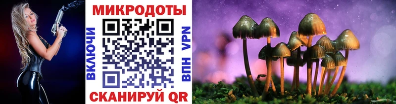 Купить где Старая Купавна Галлюциногенные грибы GOLDEN TEACHER